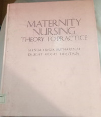 Image of Maternity Nursing Theory to Practice
