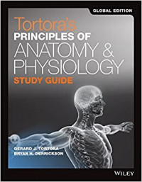 Principles of Anatomy & Physiology study guide