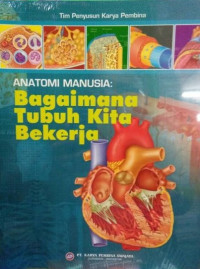 Anantomi Manusia Bagaimana Tubuh Kita Bekerja