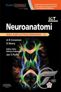 Neuroanatomi