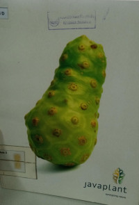 Image of Javaplant is well positioned as natural ingredient manufacturer