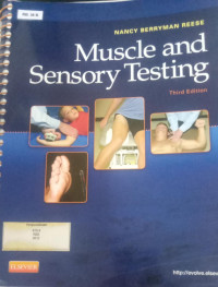 Muscle and sensory testing {BW Fisioterapi}