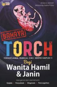 Mengenal dan memahami bahaya Torch (Toksoplasma, Rubella, CMV, & Herpes Simplex II) bagi wanita hamil dan janin dalam kandungannya