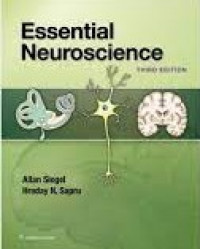 Image of Essential neuroscience third edition