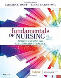 Fundamentals of Nursing 2e : Active Learning For Collaborative Practice