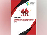 Image of Modul Pencegahan & Penanganan Anemia