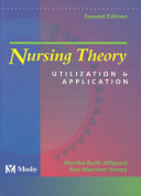 Image of Nursing Theory Utilization & Application