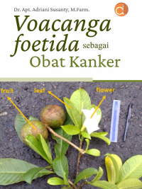 Image of Voacanga foetida sebagai obat kanker